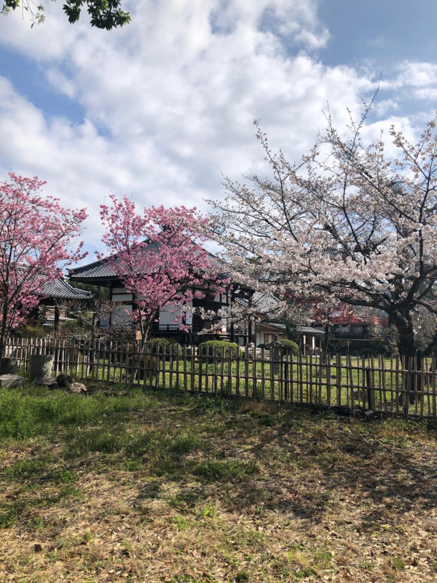 Hotel Tsubame-Ya Kyōto Esterno foto