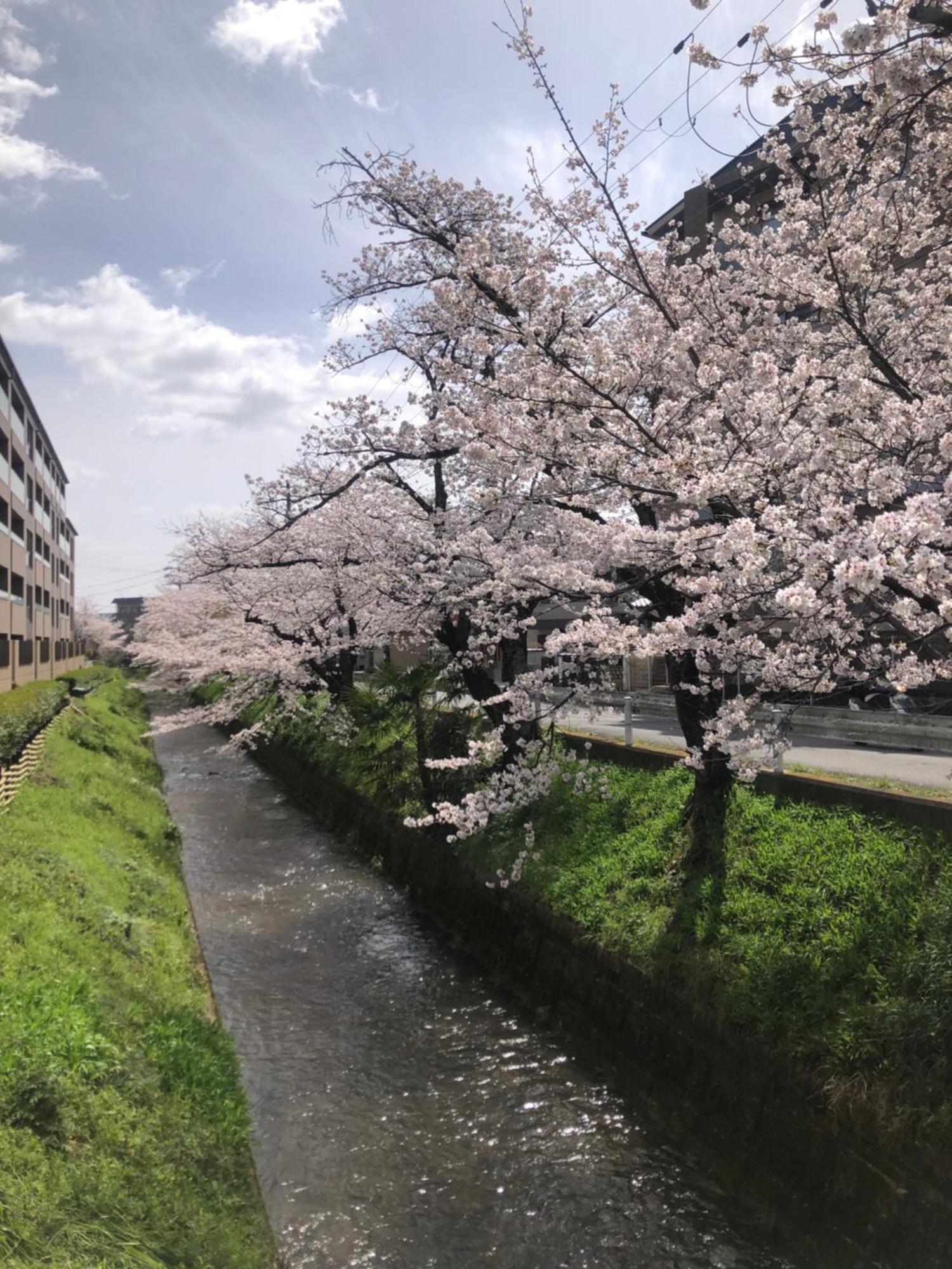 Hotel Tsubame-Ya Kyōto Esterno foto